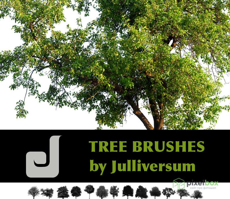 81 brushes for painting realistic trees in Photoshop