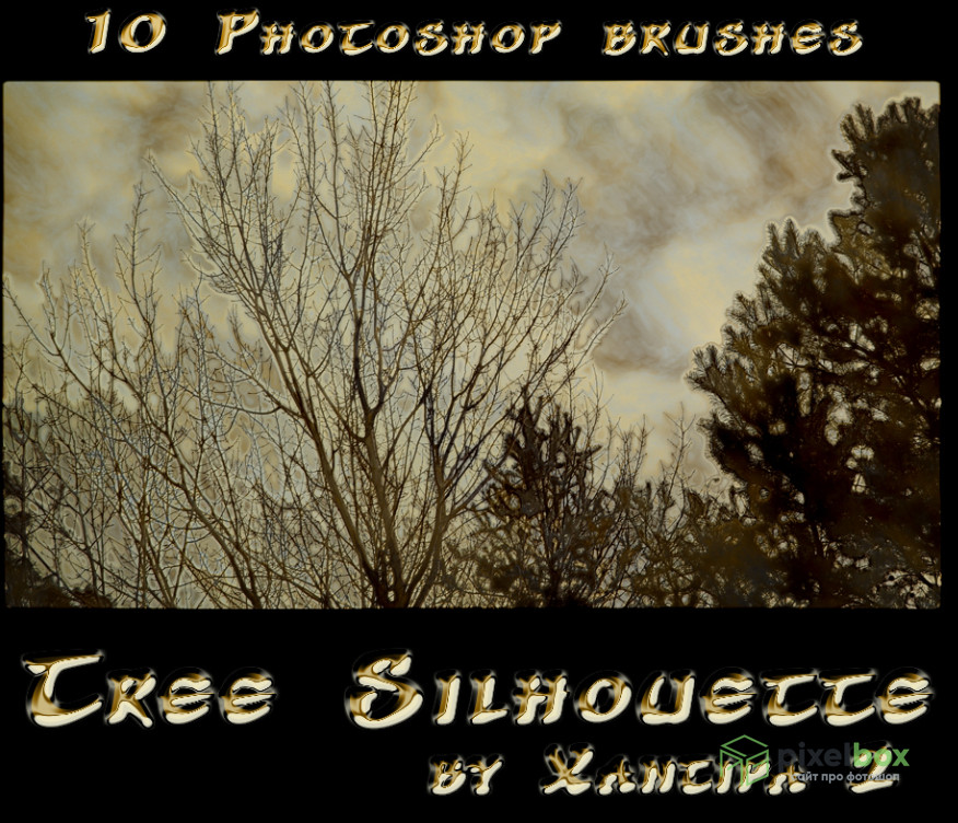 81 brushes for painting realistic trees in Photoshop