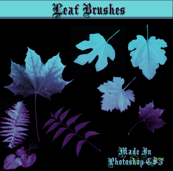 129 leaf brushes for Photoshop