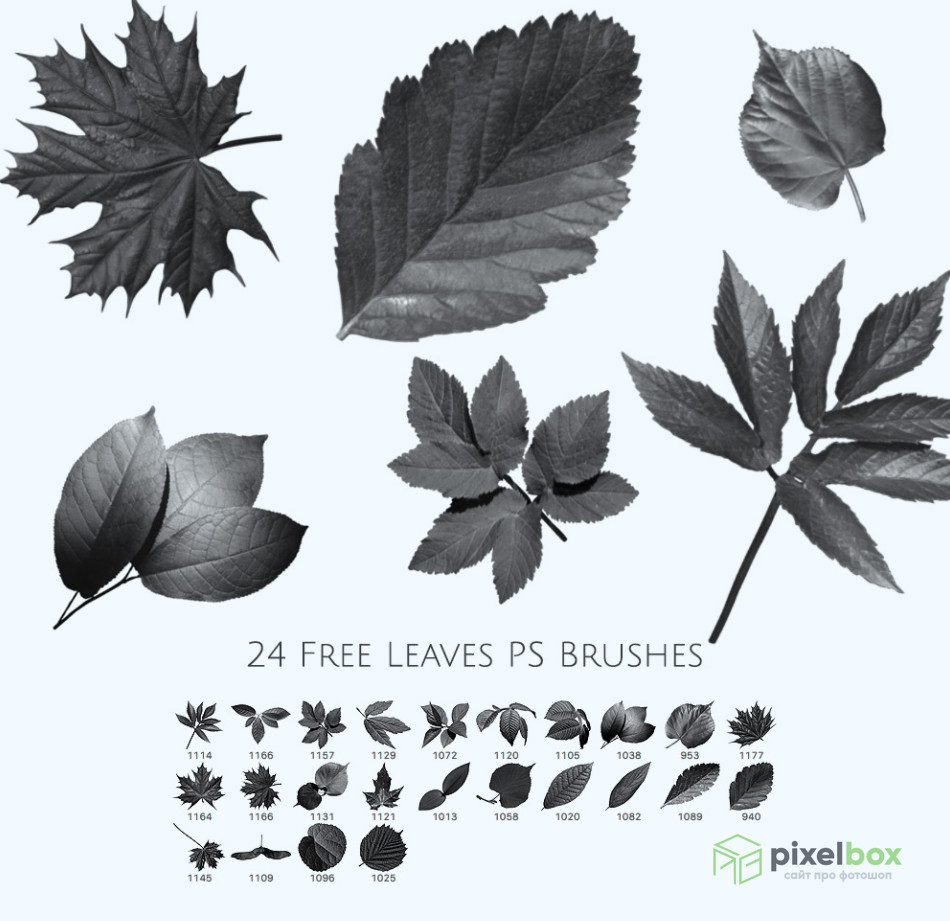 129 leaf brushes for Photoshop