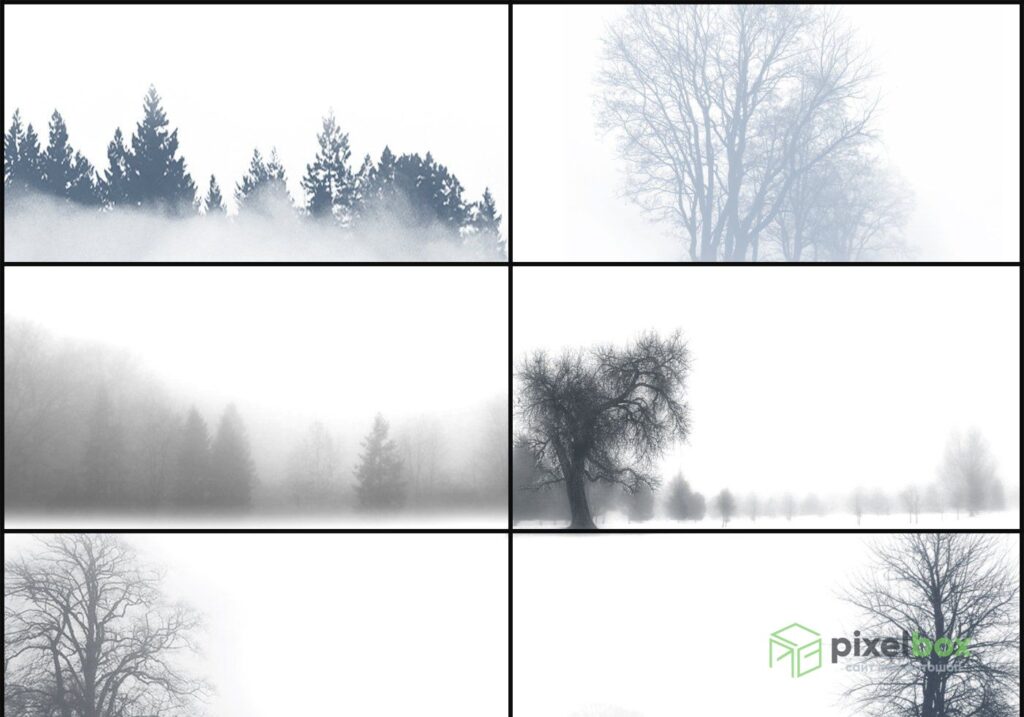 81 brushes for painting realistic trees in Photoshop